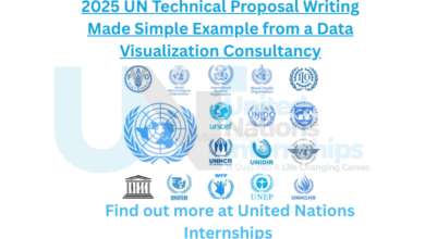2025 UN Technical Proposal Writing Made Simple Example from a Data Visualization Consultancy