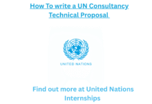 How to write a UN Consultancy 1