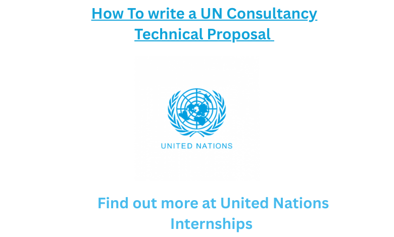How to write a UN Consultancy 1