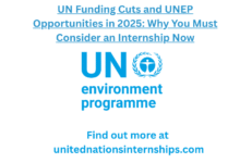 UN Funding Cuts and UNEP Opportunities in 2025 Why You Must Consider an Internship Now