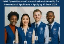 UNDP Opens Remote Communications Internship for International Applicants – Apply by 10 Sept 2025