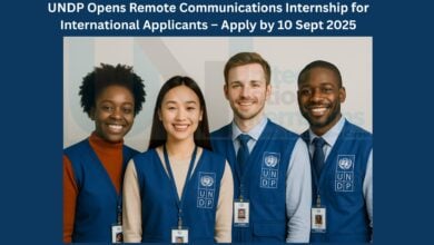 UNDP Opens Remote Communications Internship for International Applicants – Apply by 10 Sept 2025