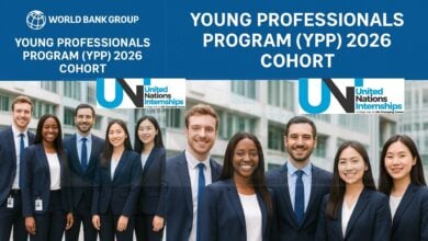 Young Professionals Programme